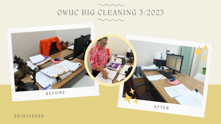 Big cleaning 3-2566 01