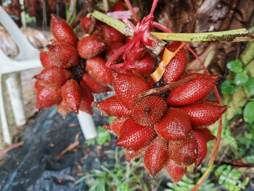 สภาฯ พบพน่วยงาน-17