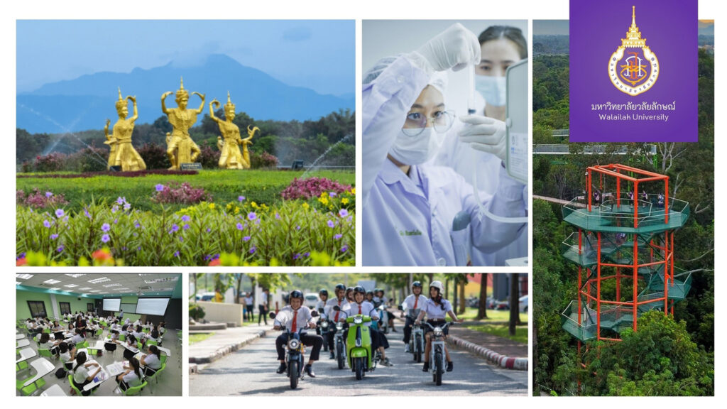 ปกเว็บไซต์ WU